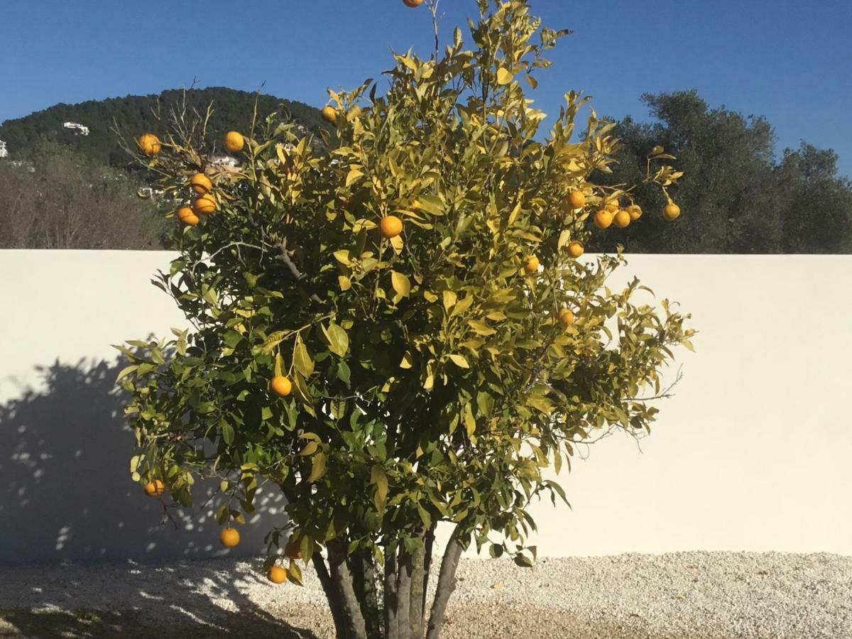 Casita In Javea With Garden And Pool - Dog Friendly! Jávea Exterior foto